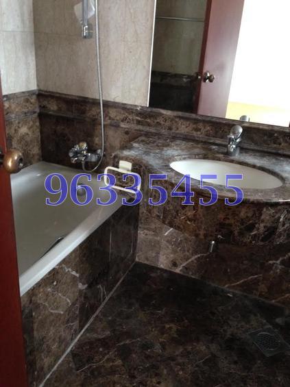 Parc Palais (D21), Condominium #77896672